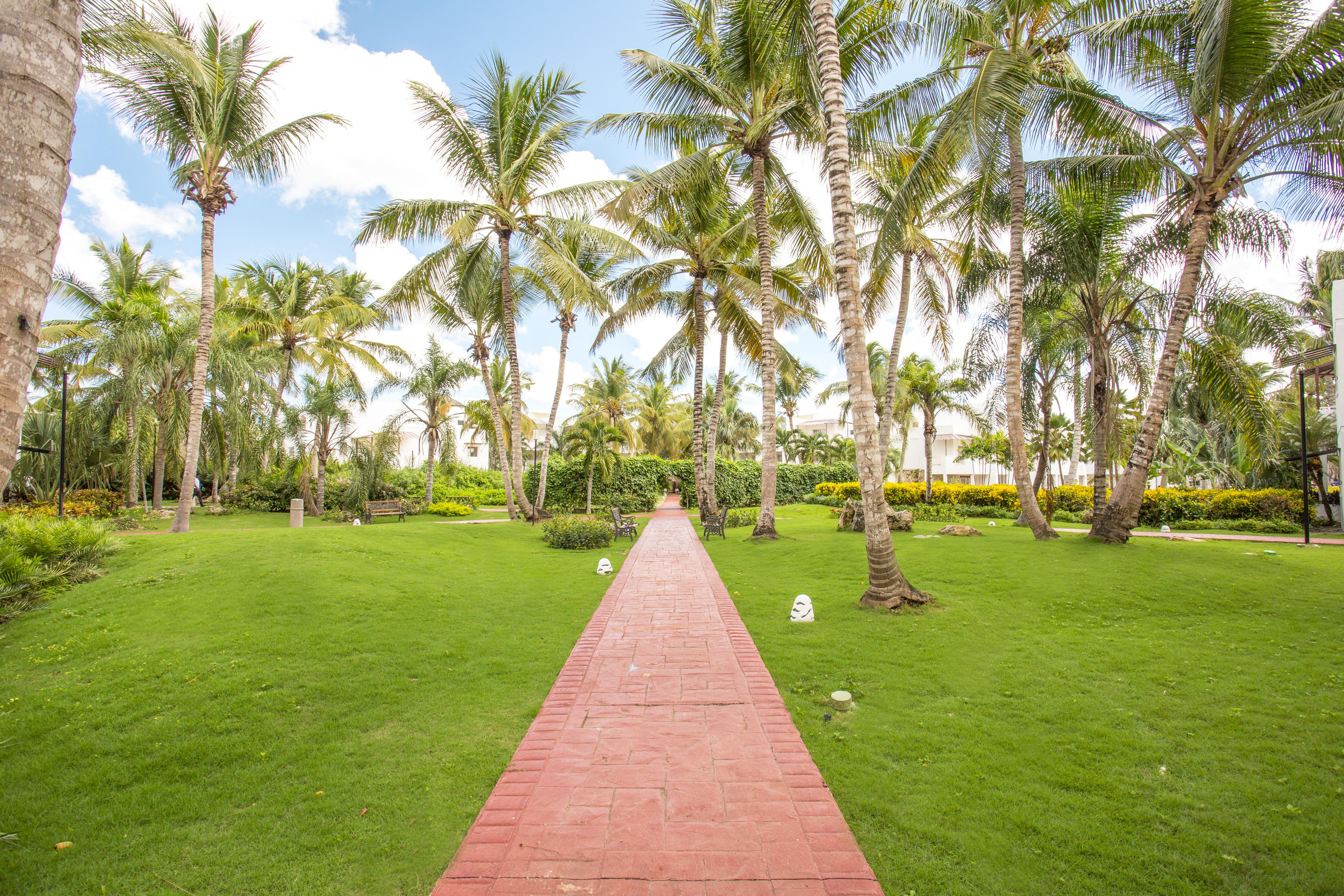 Be Live Collection Canoa Байяибе Экстерьер фото The Palm Grove